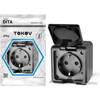 Розетка Tokov Electric Dita TKL-DT-R1Z-C14-IP54