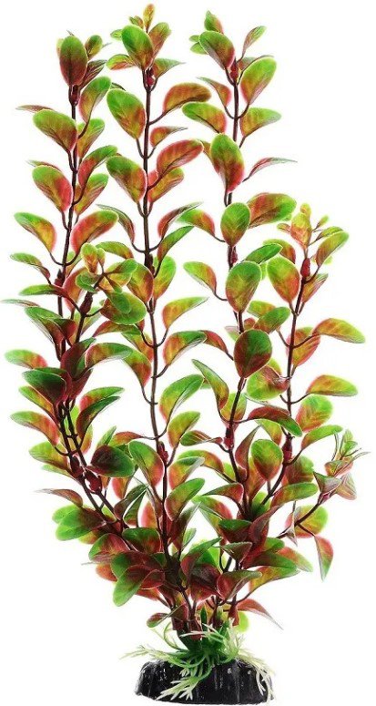 

Искусственное растение Barbus Людвигия Plant 006/50 (красный)