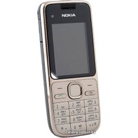 Кнопочный телефон Nokia C2-01