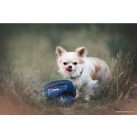 Сумка для лакомств Amiplay Denim 271746 (голубой)