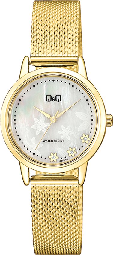 

Наручные часы Q&Q QZ57J001