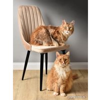 Стул AMI Лондон (бежевый) в Могилеве