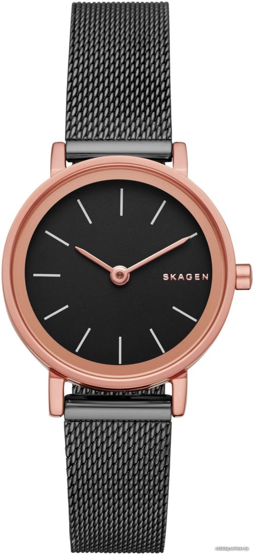 Наручные часы Skagen SKW2492