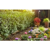 Сочащийся шланг Gardena Шланг сочащийся 13 мм (1/2", 50 м) 13013-20