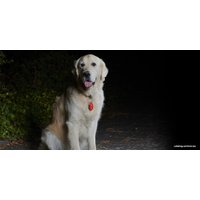 Велосипедный фонарь Sigma Micro Duo (серебристый)