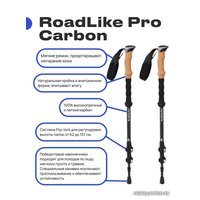 Палки для скандинавской ходьбы RoadLike Carbon 381223 (черный)