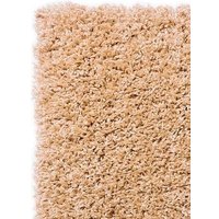 Ковер для жилой комнаты Moldabela Shaggy Viva 30 Прямоугольник 1039 1 31400 (1.2x1.8)