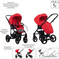 Универсальная коляска BEBETTO Magnum (3 в 1, 207, черная рама)