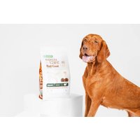 Сухой корм для собак Nature's Protection SC Red Coat Grain Free Lamb NPSC47237 10 кг