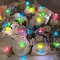 Светодиодная гирлянда Neon-Night «Роса» 302-009