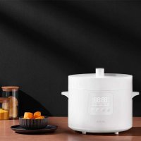Мультиварка-скороварка Xiaomi Electric Pressure Cooker 4.8L MYL02-1 (евровилка)