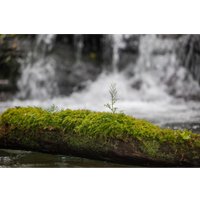 Объектив Sigma 28-105mm F2.8 DG DN Art для Leica L