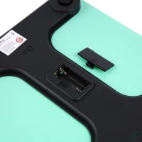 Напольные весы Luazon LVE-006 (зеленый)