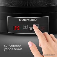 Сушилка для овощей и фруктов Redmond (Редмонд) FD1100
