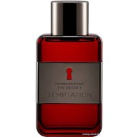 Туалетная вода Antonio Banderas The Secret Temptation for men EdT (100 мл)