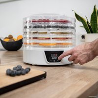 Сушилка для овощей и фруктов First FA-5126-8