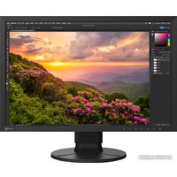 Монитор EIZO ColorEdge CS2400S