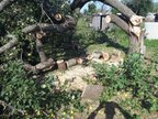 Фото покупателя
