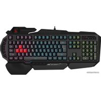 Клавиатура A4Tech Bloody B314