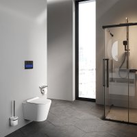 Унитаз подвесной AM.PM Sunny Flashclean C85C1701SC (с сиденьем)