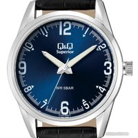 Наручные часы Q&Q Astron C20AJ009