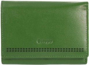

Кошелек Bellugio AD-118R-400 (зеленый)