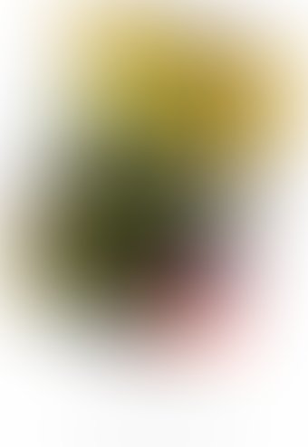 Рельефные презервативы Maxus 174/1