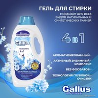 Гель для стирки Gallus Professional Универсальный 4 в 1 (1 л)