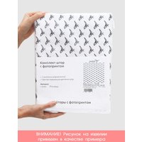 Комплект штор JoyArty Кофейная зона pox_17011777 (145x180)