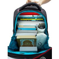 Школьный рюкзак Steiner SK3-3