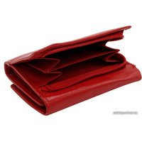 Портмоне Cedar 4U Cavaldi RD-17-GCL (морской)