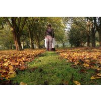 Колесная воздуходувка Weibang WBLV506H V