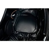 Массажное кресло Richter Expert Robot (black)