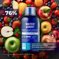 Жидкость для ирригатора Waterdent Увлажняющая с гиалуроновой кислотой + ополаскиватель для полости рта 2 в 1 500 мл