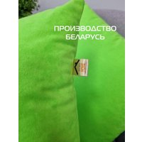 Декоративная подушка Matex Velours 49-999 ( 2шт, салатовый)