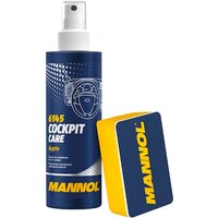  Mannol Cockpit Care Apple 6145 250мл (яблоко)