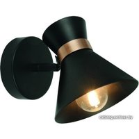 Точечный светильник Arte Lamp Baltimore A1406AP-1BK