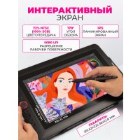 Графический монитор XP-Pen Artist 12 Pro