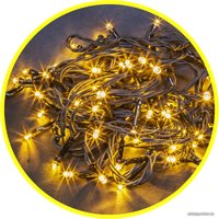 Новогодняя гирлянда Navigator NGF-S01-200WW-10-21.5m-230-C8-BL-IP44 (теплый белый)