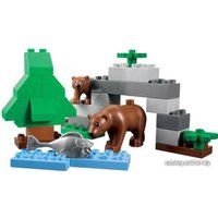 Набор деталей LEGO Education 45012 Дикие животные