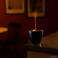 Увлажнитель воздуха Stadler Form Zoe (черный)