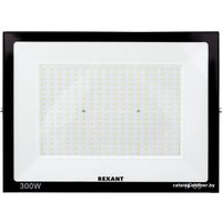 Уличный прожектор Rexant 605-030