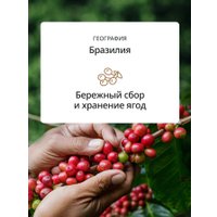 Кофе DeLonghi Signature Milk Selection Blend зерновой 250 г