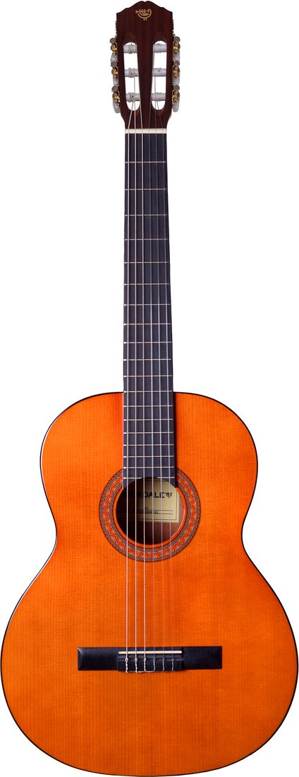 

Акустическая гитара Rockdale Classic C4