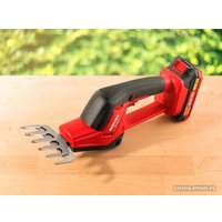 Кусторез + ножницы Wortex SG 1820 1333483 (с 1-им АКБ)