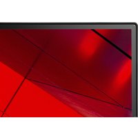 Монитор NEC MultiSync E243F (черный)