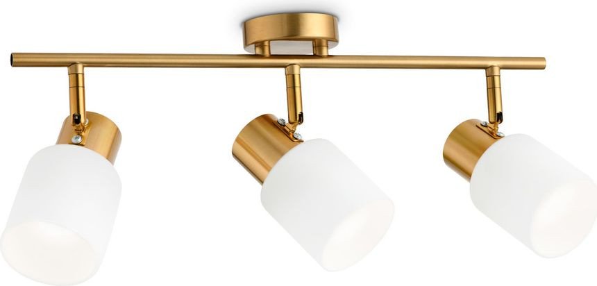 

Спот Ambrella light Traditional TR3972