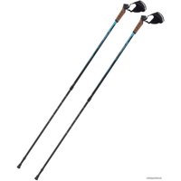 Палки для скандинавской ходьбы Berger Nimbus 77-135 (черный/голубой)