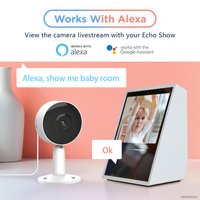 IP-камера Arenti IN1 Indoor Mini Security Camera в Могилеве