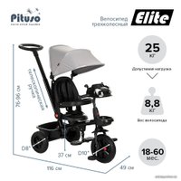 Детский велосипед Pituso Elite (серый)